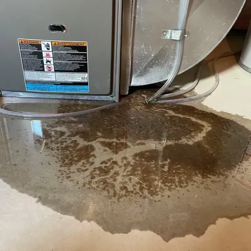 Appliance Leak Cleanup in Radcliff, KY